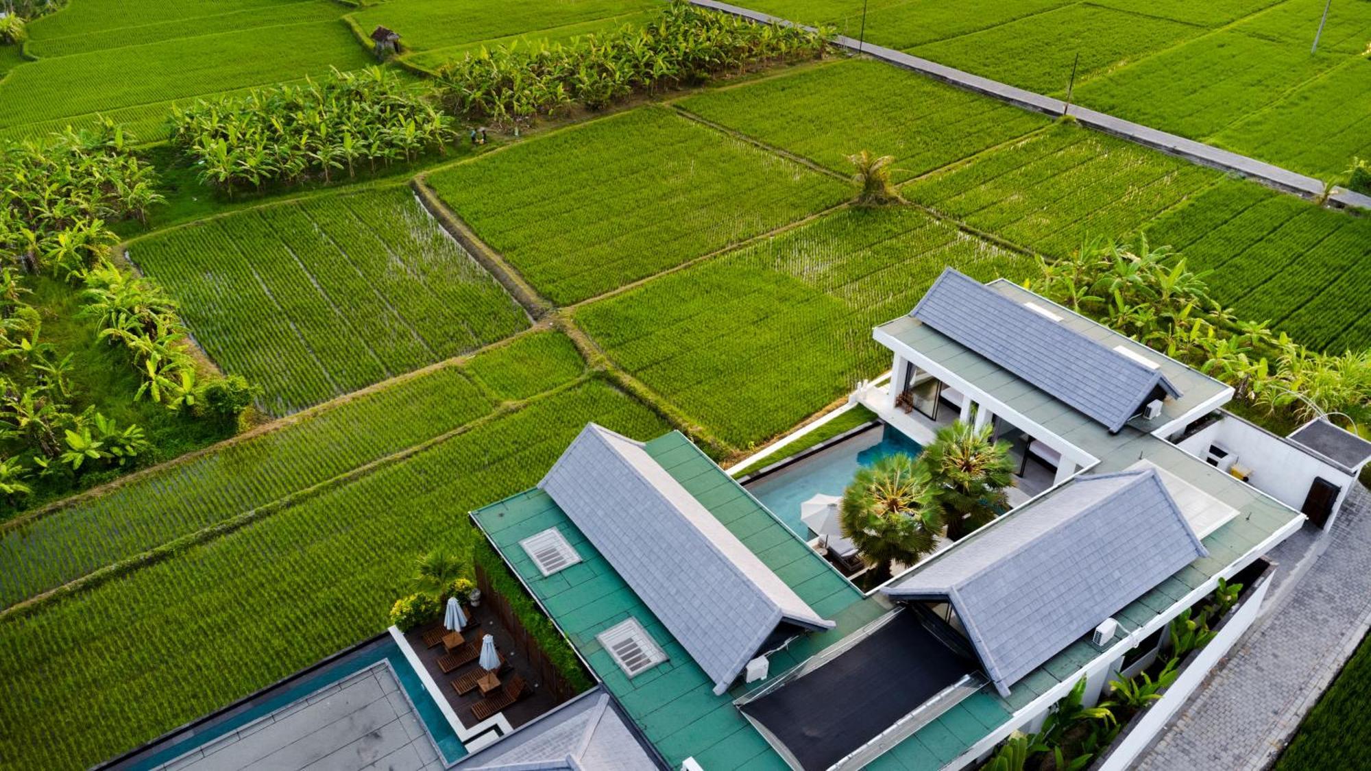 Villa Lina By Balisuperhost Ubud Exteriör bild